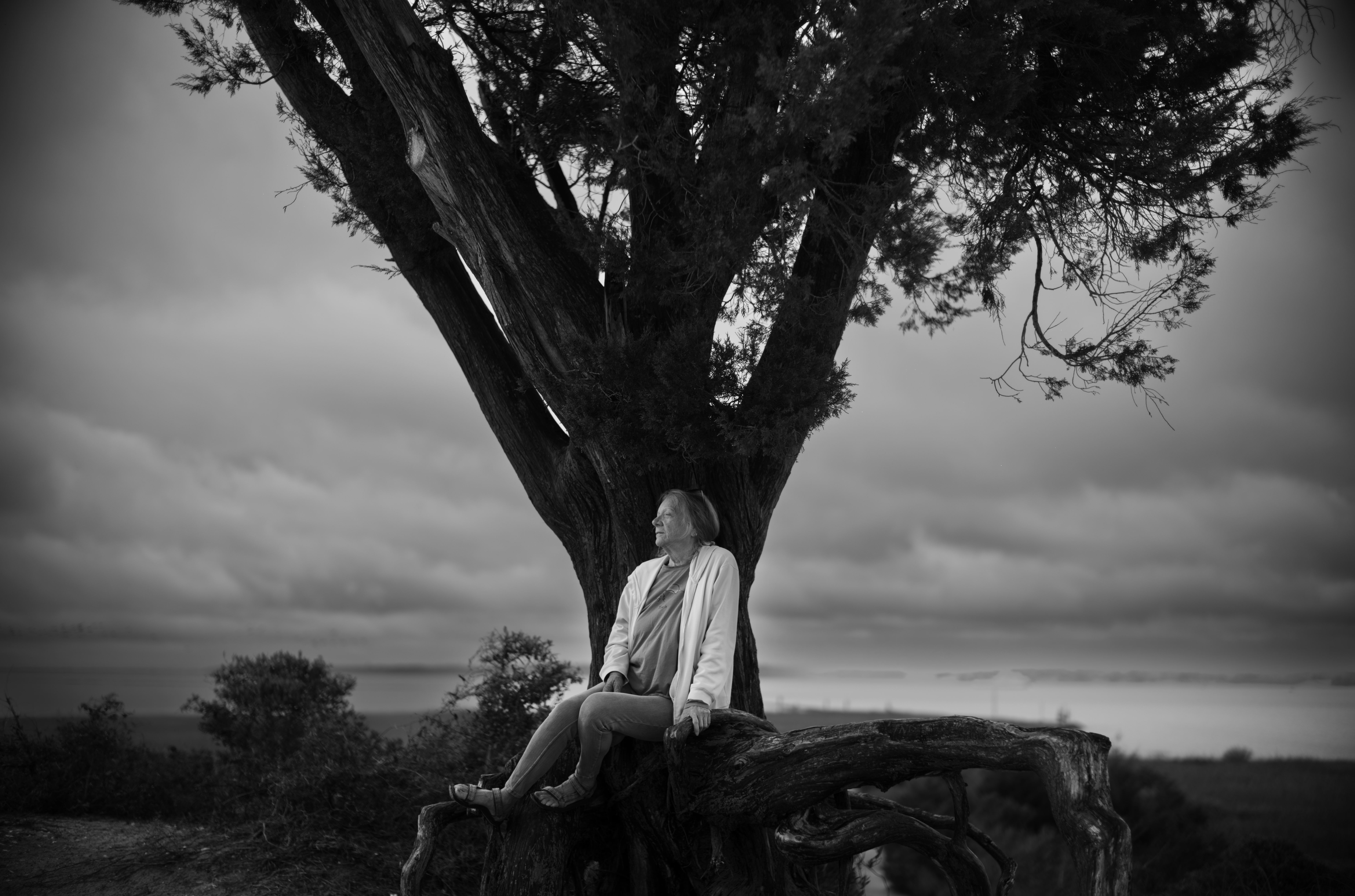 Mom under tree